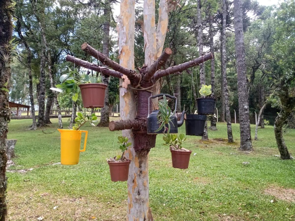 Cabana Romance - Recanto Da Natureza Canela Exterior foto