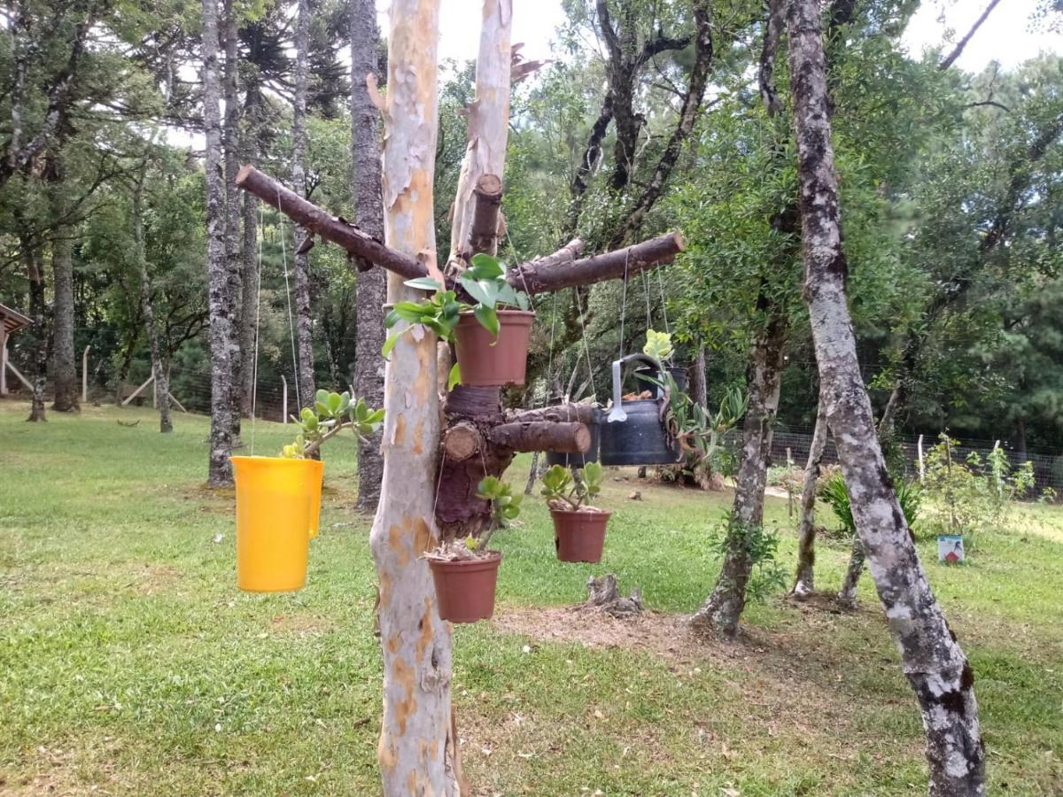 Cabana Romance - Recanto Da Natureza Canela Exterior foto